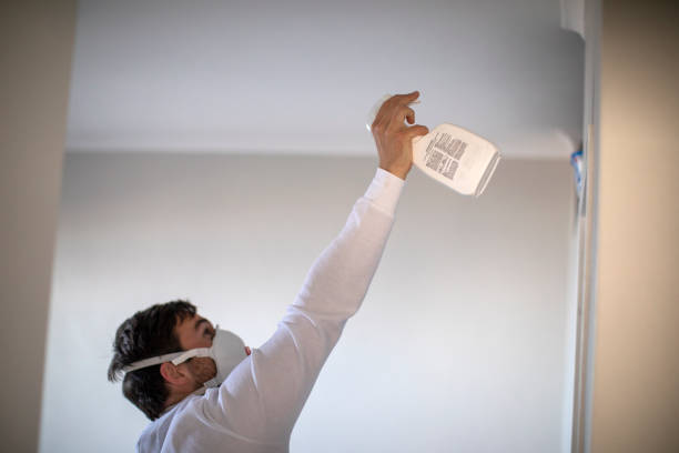 Mold Testing and Removal in Cathedral City, CA