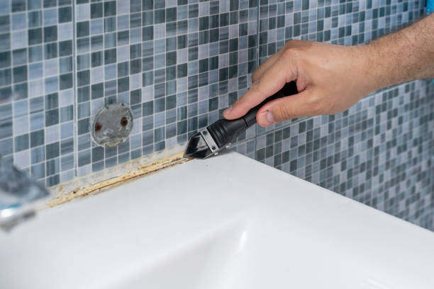 Best Black Mold Removal  in Thedral City, CA
