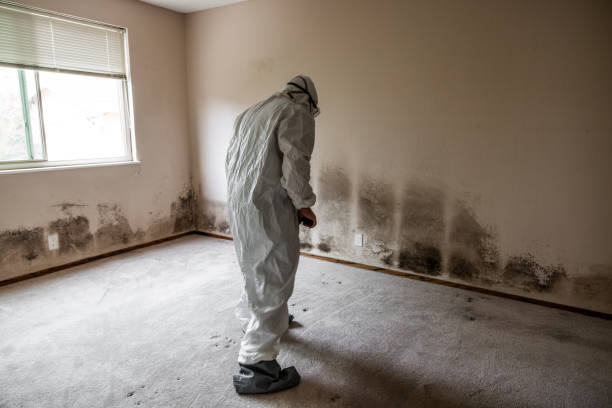 Best Residential Mold Removal  in Thedral City, CA