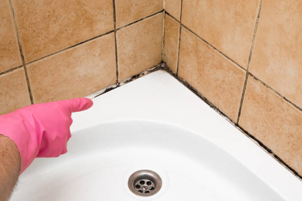 Best Mold Removal Company Near Me  in Thedral City, CA